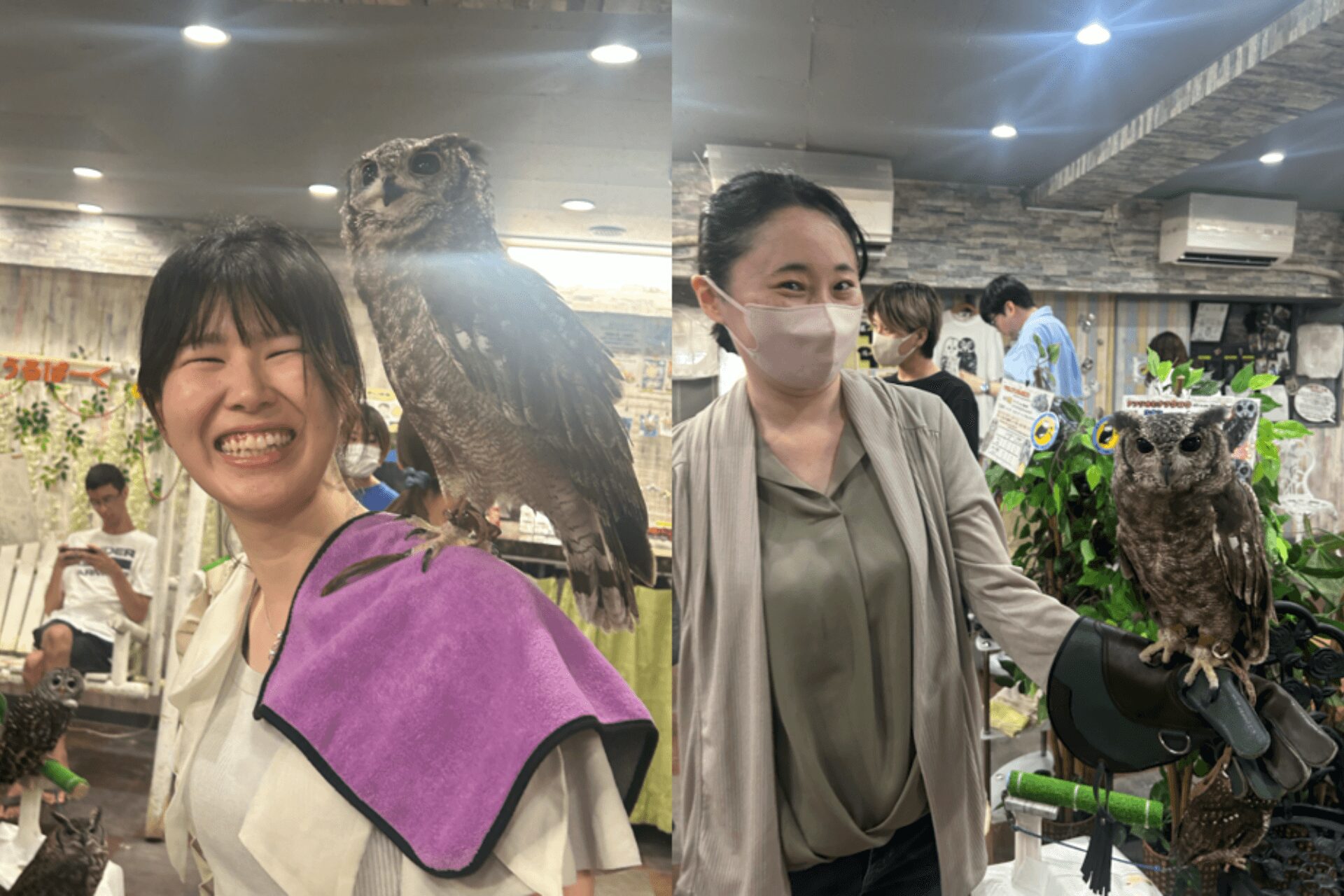 腕や肩に乗せてもOKなフクロウもいました!意外とずっしりとした重さに驚き…!