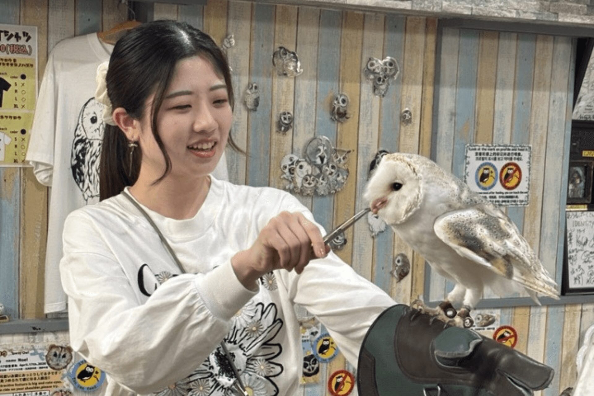 餌やり体験では合図とともにフクロウが腕に飛んできて、腕を振ると戻っていって貴重な体験ができました!